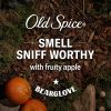 Old Spice Body Wash for Men, Bear Glove, Long Lasting Lather, All Skin Types, 24 fl oz